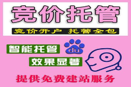 如何利用百度竞价代理：真实案例分析